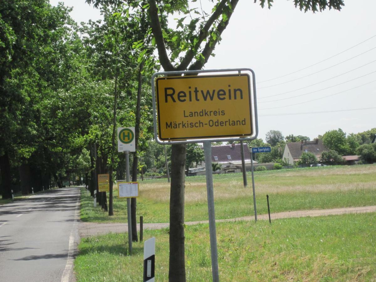 Pension Zum Weissen Hirsch Reitwein Exterior foto